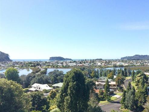 162 Tirohanga Drive, Whangamata