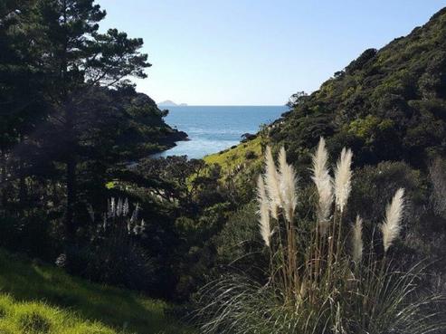 64 Motel Road, Tutukaka
