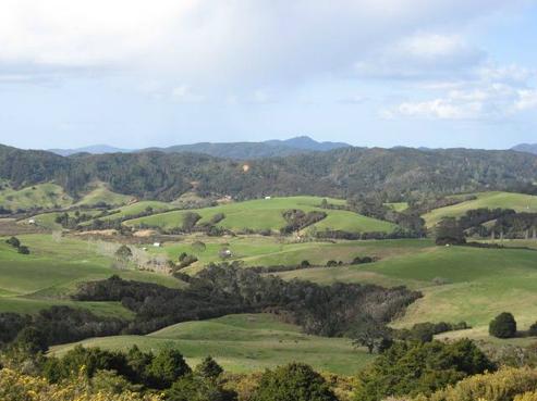 377 Pakaru Road, Kawakawa