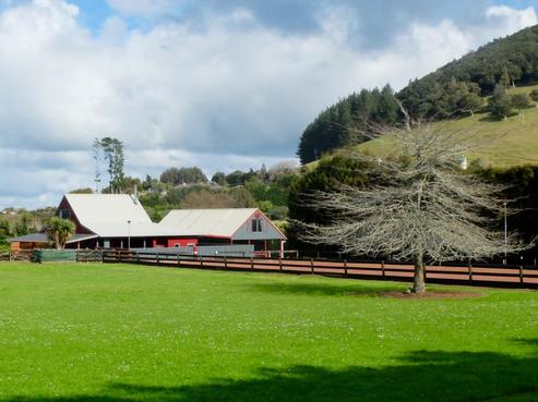 117 Millington Road, Maunu