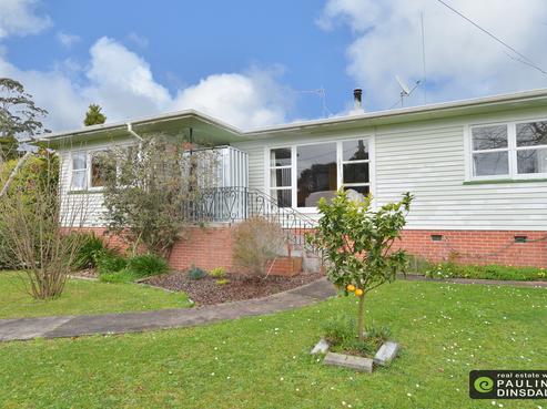 46 Tuatara Drive, Kamo