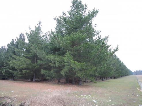 2849 South Eyre Road, West Eyreton
