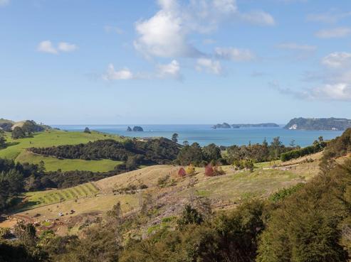 11 Tarapatiki Drive, Whitianga