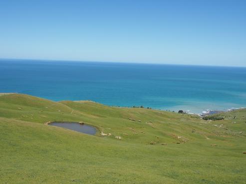 867 Cooks Tooth Road, Porangahau