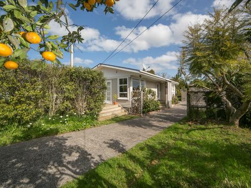 115 Vodanovich Road, Te Atatu South