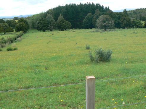 58 Squires Lane, Kaikohe