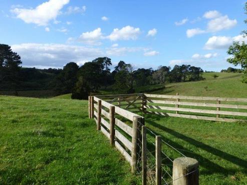 141B Oram Road, Mercer