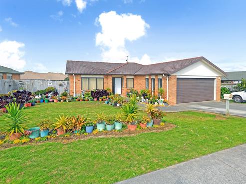 41 Nicholas Gibbons Drive, Clendon Park