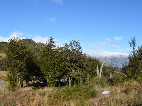 1142 Glenorchy-Queenstown Road, Glenorchy