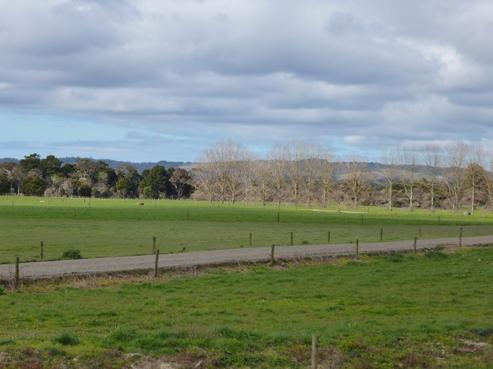 131 Forsythe Road, Hukerenui and Surrounds