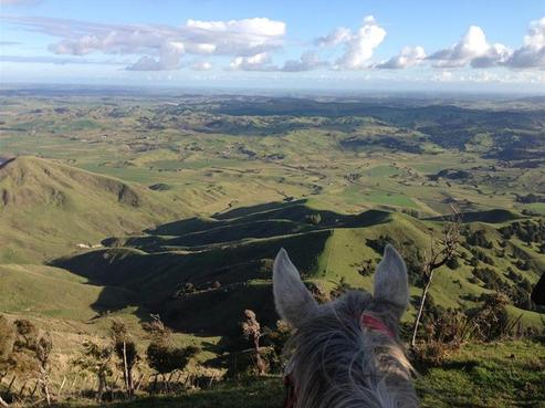 715 Tangowahine Valley Road, Dargaville Surrounds