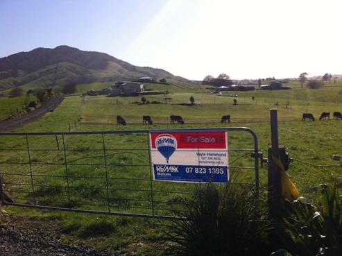 1008 Te Kawa Road, Otorohanga