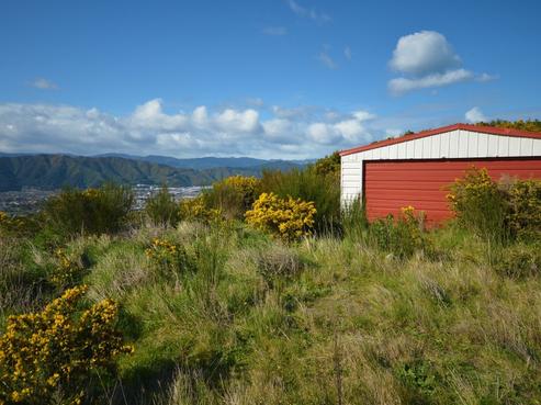 101 Cypress Drive, Maungaraki