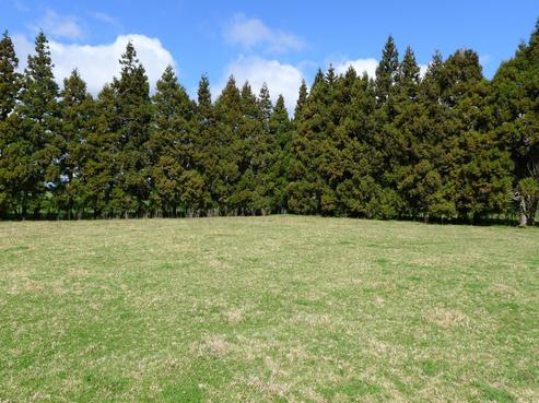 5978D State Highway 12, Ohaeawai