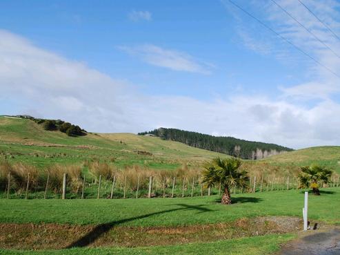 350 South Road, Waipu