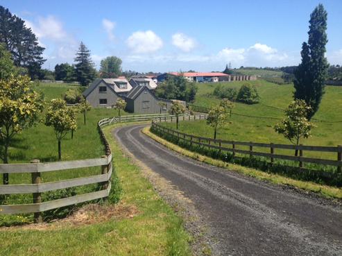 29 Pukekohe East Road, Pukekohe