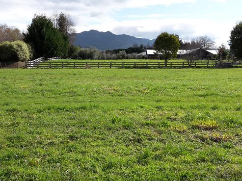 196B Inglefield Street, Pirongia