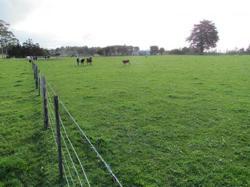 2502 State Highway 10, Kerikeri Surrounds
