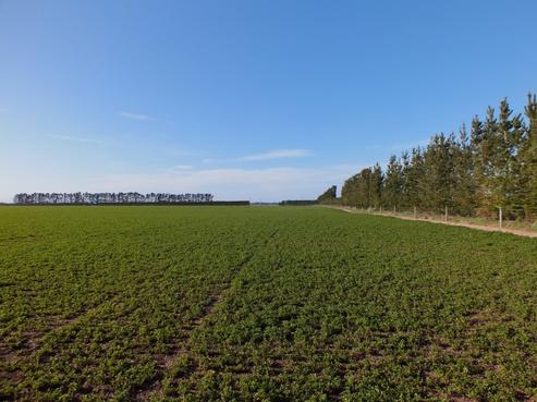 248 Kivers Road, Burnham