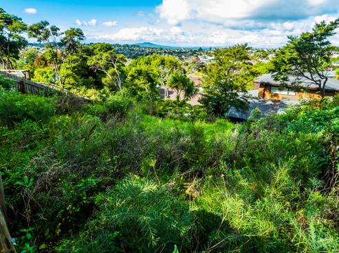 67A Sunset Road, Totara Vale