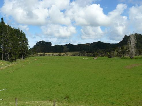 259 Diggers Valley Road, Herekino