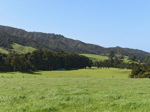 277 Finlayson Brook Road, Waipu