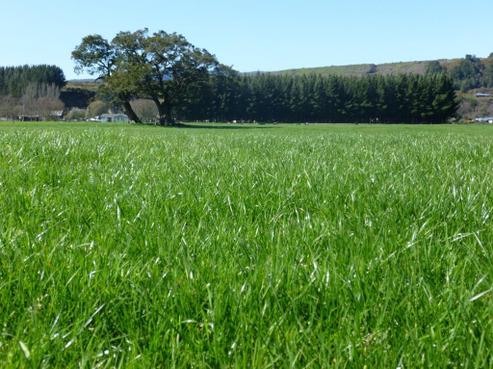19 Andersons Road, Reefton