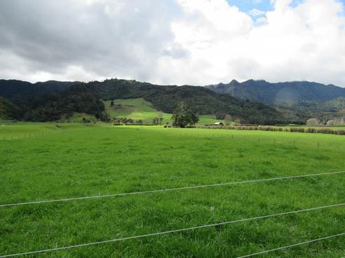 28 Waiorongomai Road, Te Aroha
