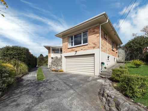 166 Otonga Road, Springfield