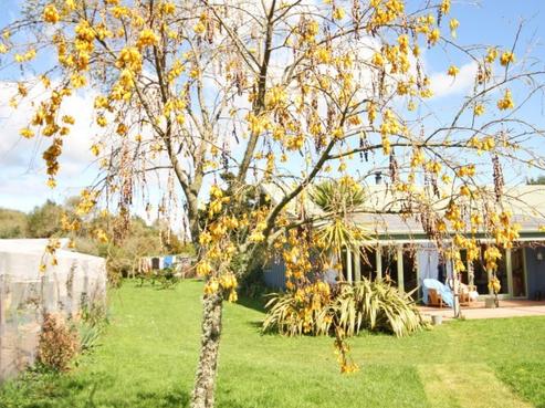 61 Kuku East Road, Manakau