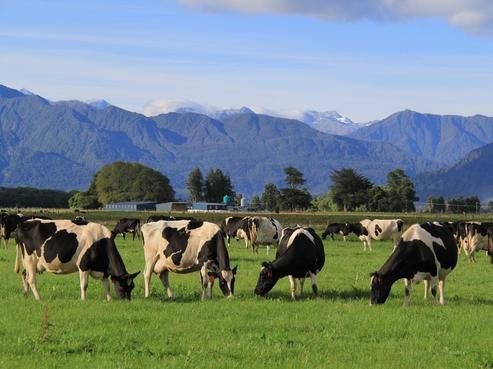 1462 Kaniere-kowhitirangi Road, Kokatahi