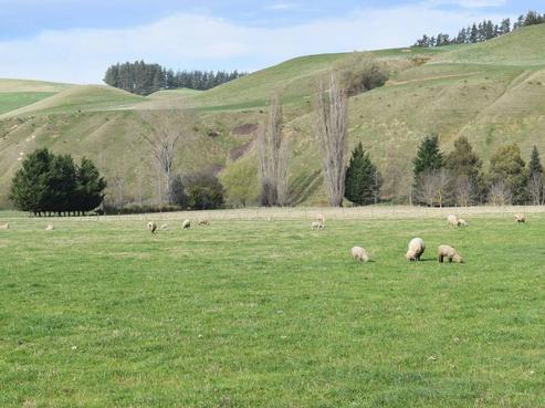 4 Inland Road, Waiau