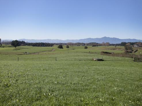 112 Quine Road, Tahuna