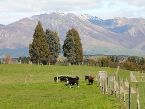 1657 Te Anau Mossburn Highway, Te Anau Surrounds