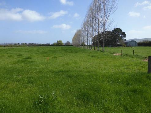 5659 State Highway 26, Te Aroha