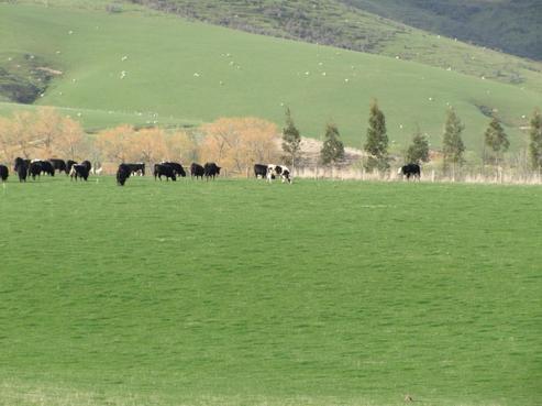 1179 Switzers Road, West Otago Surrounds