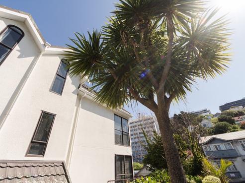 37 Macdonald Crescent, Te Aro