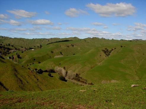 2509 Kururau Road, Taumarunui
