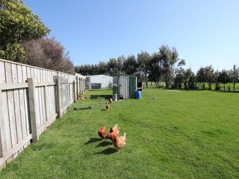 125 Pukepapa Road Extension, Lake Alice