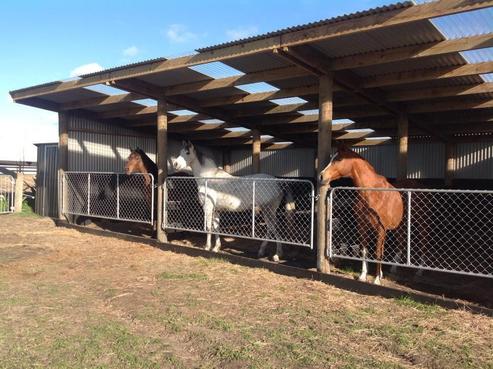 1A A'court Street, Sanson