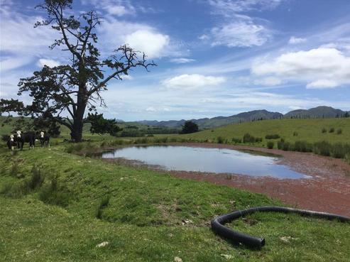 6C Hawkins Place, Dargaville Surrounds