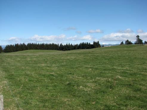 4155 Puketitiri Road, Puketitiri