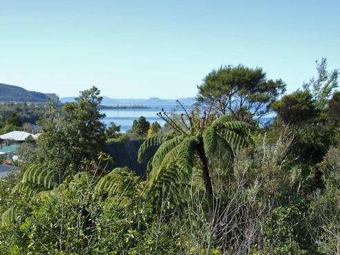 14 Hauraki Terrace, Pukawa