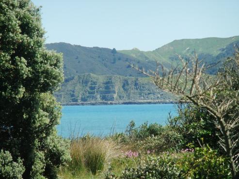 15 Moana Drive, Mahia