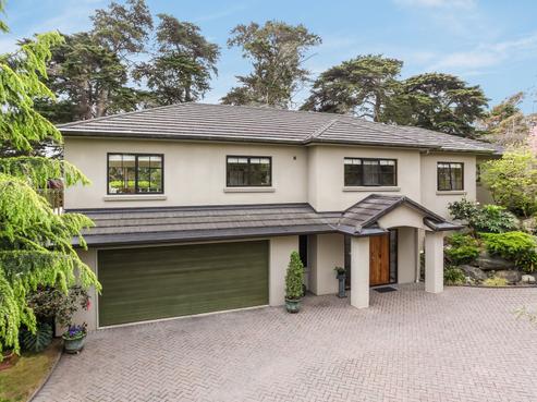 47E Village Fields Road, Waiau Pa