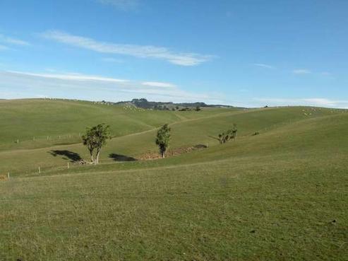 1304 Taieri Mouth Road, Brighton