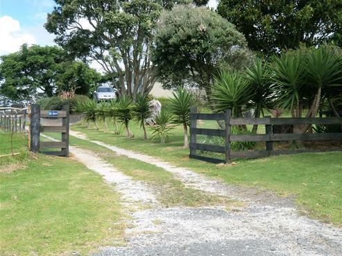 3637 Pouto Road, Te Kopuru