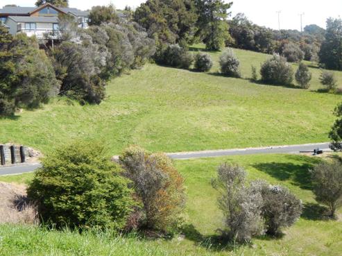 25 Ash Grove Circle, Haruru