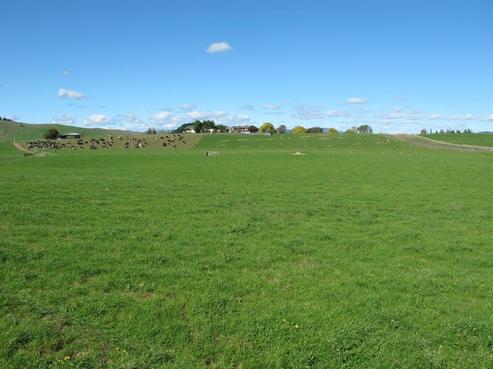 556 Happy Valley Road, Maihiihi