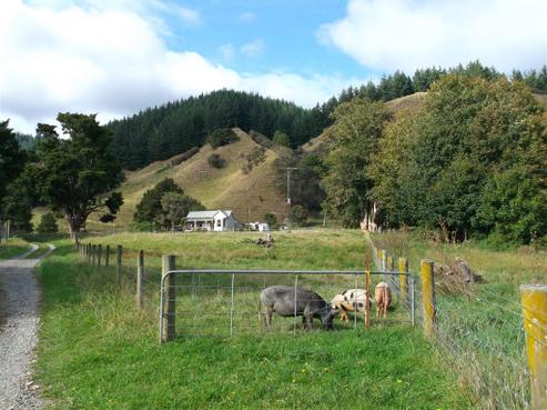 1297 Kaitieke Road, Owhango